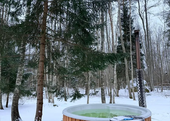 Siilihouse Holiday home *